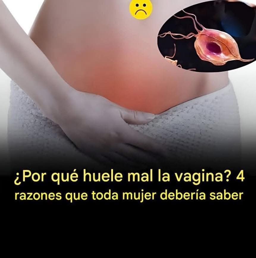 Por qué huele mal la vagina? 4 razones que toda mujer debería saber