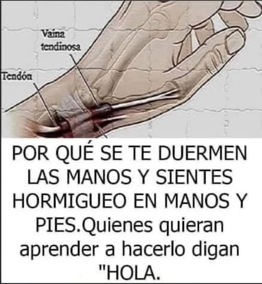 😱 SI SE TE DUERMEN LAS MANOS… ¡PODRÍA SER UNA SEÑAL CLARA DE ESTO!
