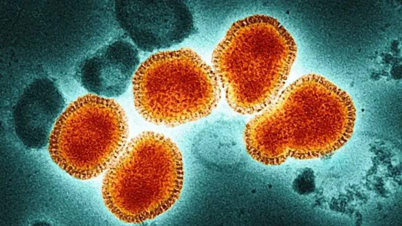 Alerta sanitaria por la gripe H3N2