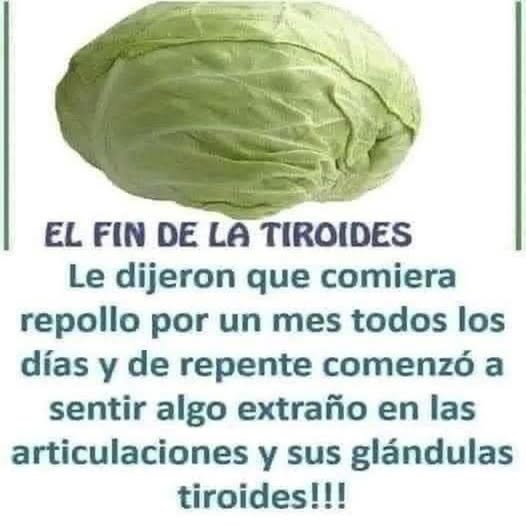 Repollo y tiroides: lo que debes saber antes de incluirlo en tu dieta