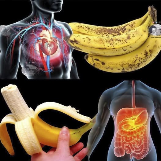 Por Qué Deberías Comer una Banana Diaria: Un hábito sencillo con grandes beneficios para tu salud