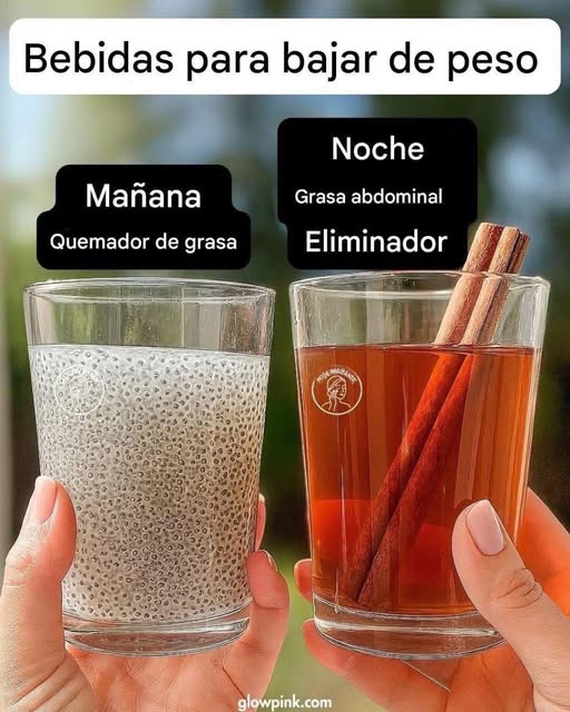 3 Bebidas Naturales que Ayudan a Bajar de Peso de Forma Saludable
