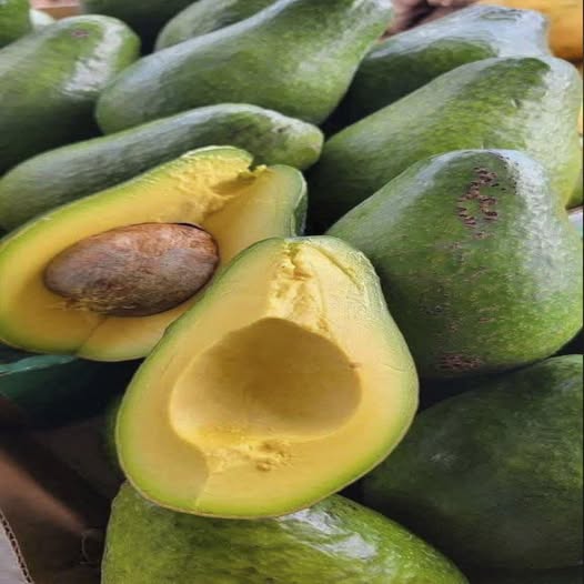 Los beneficios del aguacate: un tesoro verde para tu salud