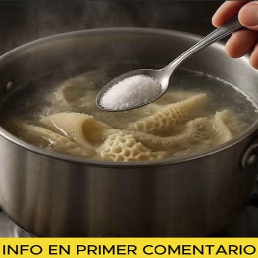 Cómo hervir mondongo sin olor y disfrutarlo con más gusto