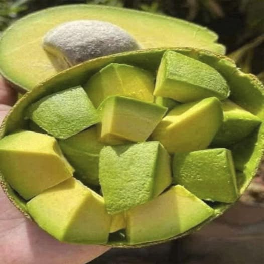 Los beneficios del aguacate: un tesoro verde para tu salud