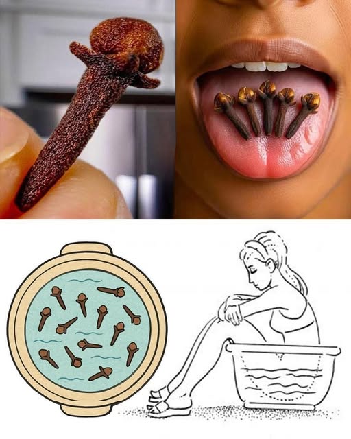 Clavo de Olor: El Poderoso Aliado Natural Que Tal Vez No Estás Usando