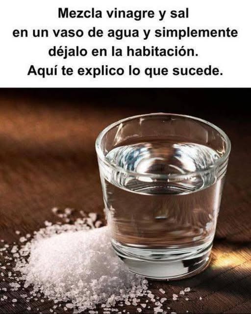 Purifica la Energía de Tu Hogar con Agua, Vinagre y Sal