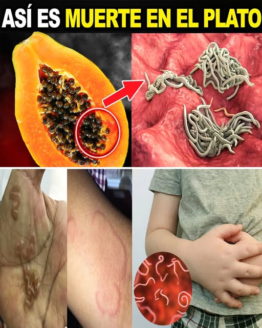 Semillas de papaya: la dosis sencilla que muchos desperdician