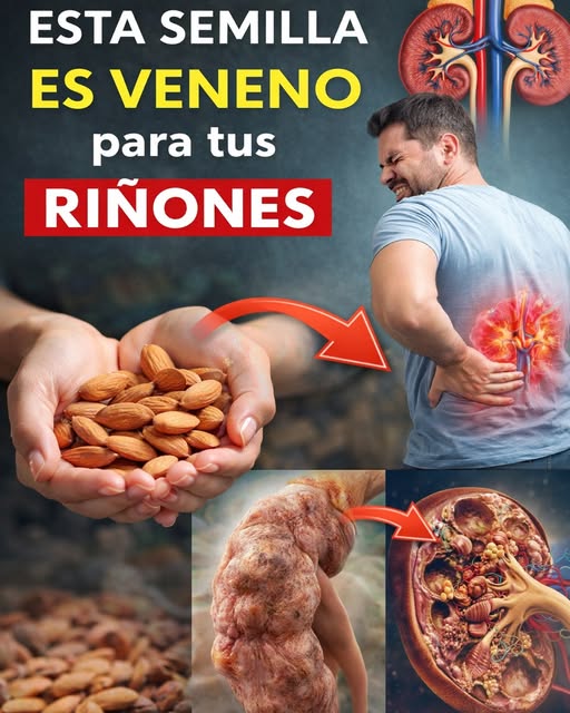 La hoja cotidiana que puede apoyar a tus riñones, equilibrar la creatinina y ayudarte a dormir mejor