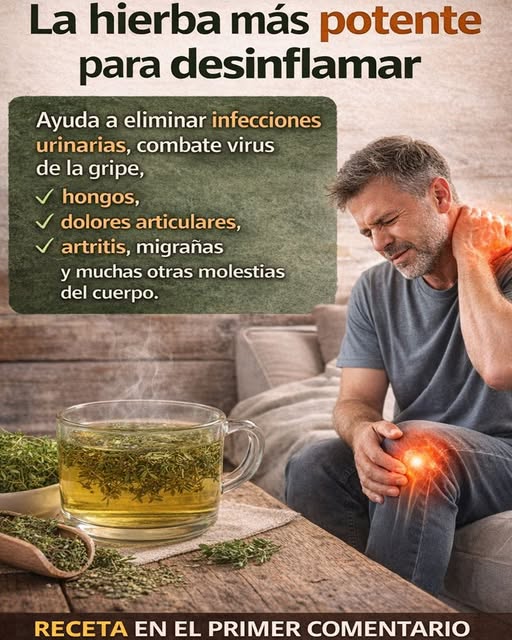 Tomillo: El Ritual Aromático que Podría Calmar Tos, Barriga y Estrés