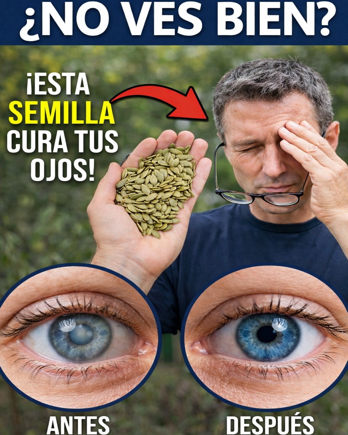 Como Estas Semillas a Diario para Apoyar tu Vista y tu Retina