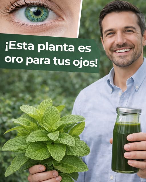 La planta que muchos asocian con una mirada más clara