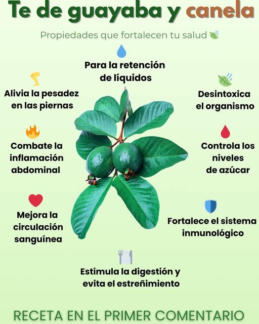 Té de Guayaba con Canela y Limón: Beneficios y Cómo Prepararlo