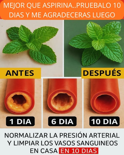 Recetas Naturales para Limpiar Arterias y Fortalecer el Corazón