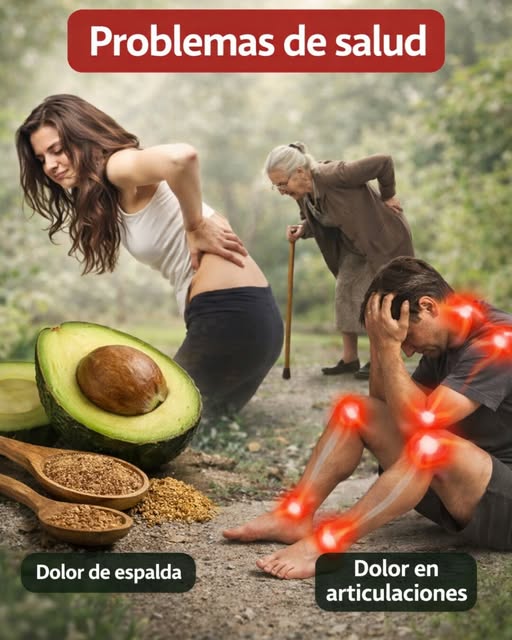 🥑 Los Beneficios del Hueso de Aguacate: el Remedio Natural Desconocido para el Dolor Articular y de Espalda