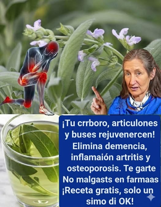 Salvia: Combate, Demencia, Artritis y Migraña Recetas que Mejorarán tu Bienestar