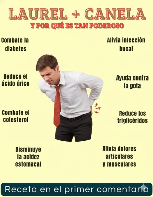 Hojas de laurel para dolores articulares y mala circulación: remedios naturales